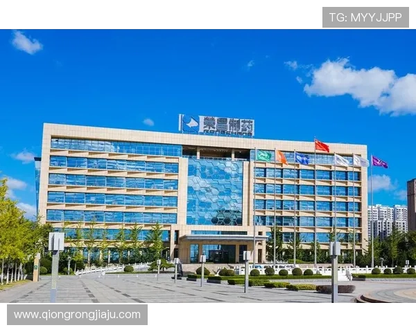安全稳定的凯发集团网页版登录入口推荐及使用技巧分享